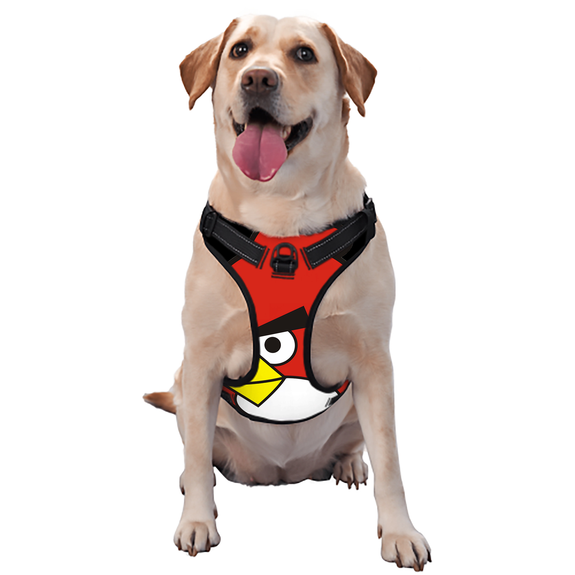 （画像用） Angry Birds アングリーバード ペット用ハーネス